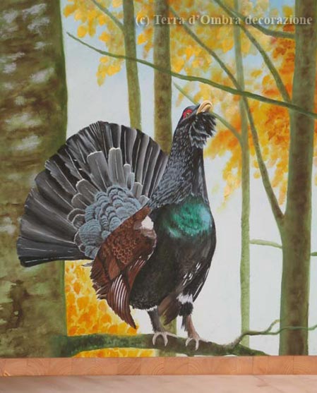 gallo cedrone