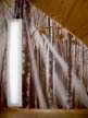 alberi